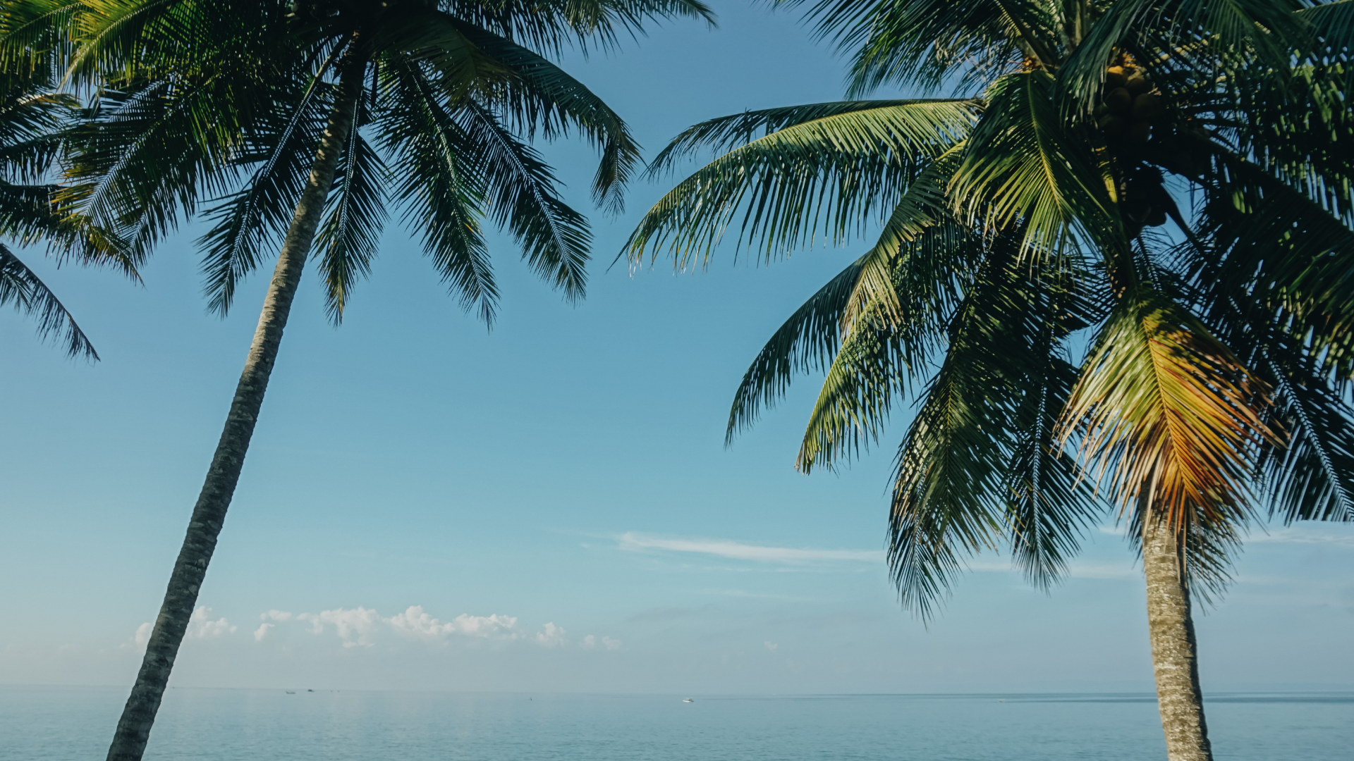 Vacances et projets immobiliers : une alliance parfaite