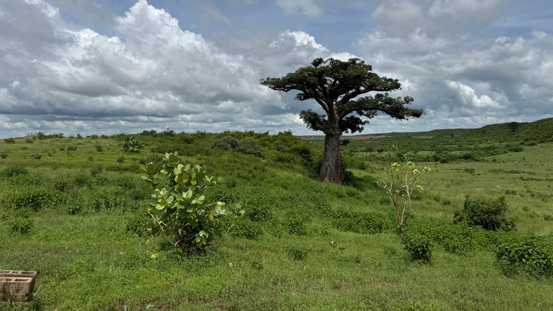 Urbanisation : non à un second Dakar en région.